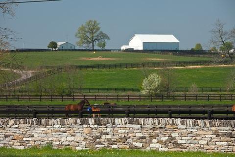 stone wall on horse farm